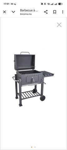 Barbecue pour jardin 