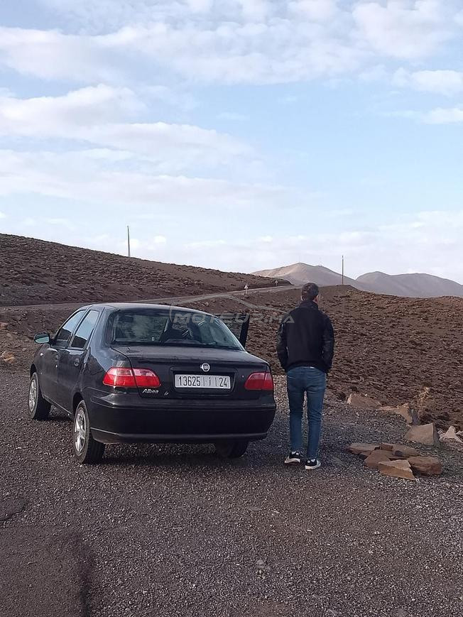 tananet azilale
