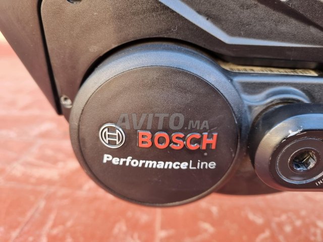 Velo électrique pegasus