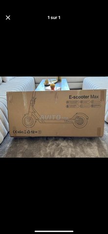 Trottinettes électriques 