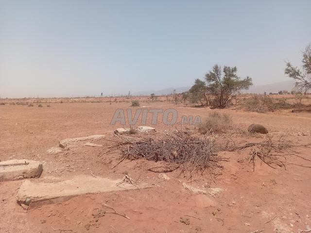 A vendre Terrain projet villa ferme isen Agadir   - 2