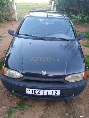 palio 