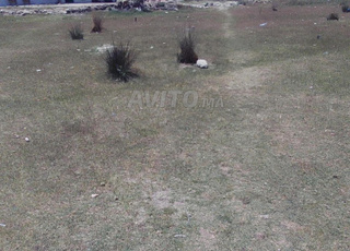 ارض بعقد الملكية بمرتيل قرب الجامعة