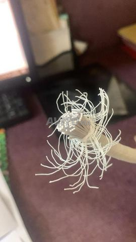 CORDE SPECIALE BON QUALITE