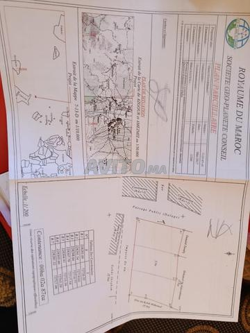 امزميز ركراكة ملكية