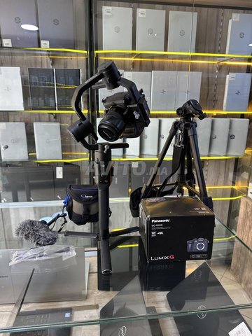 Panasonic  lumix GH5 S  DJI RONIN RS-005
