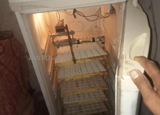 فقاسة 400 بيضة كادر تلاجة وحضانة 