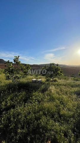 Ferme agricole titrée de 2,5 ha, bien équipée.