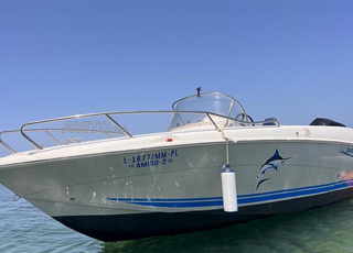 Bateau Quicksilver Commander 600