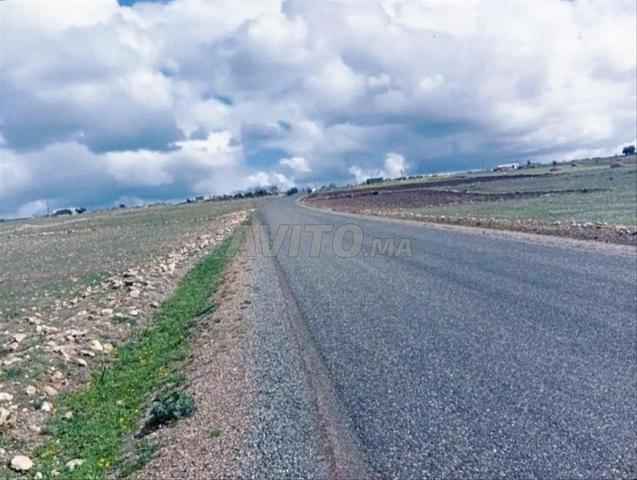 6  هكتارات إستثمارية تيتر على الطريق اثنين شتوكة