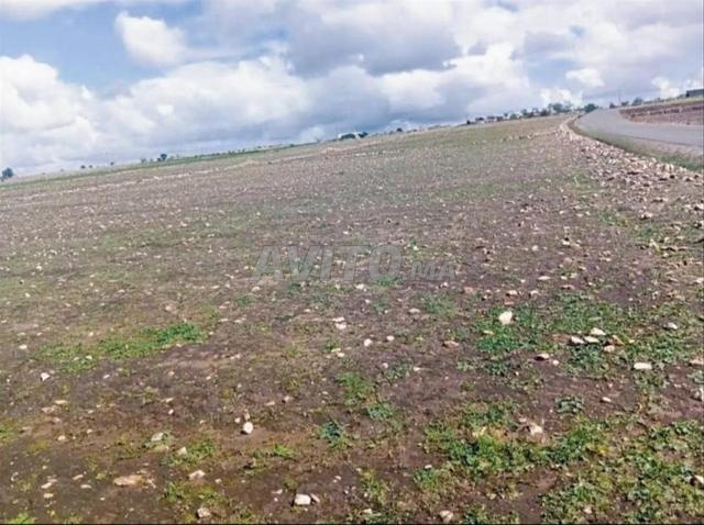 6  هكتارات إستثمارية تيتر على الطريق اثنين شتوكة - 2