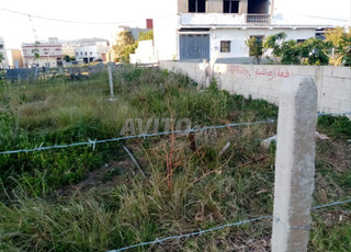 أرض للبيع طنجة