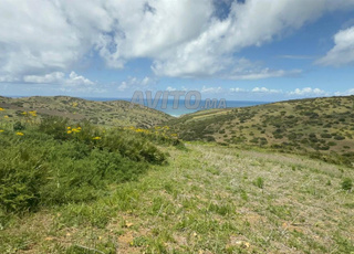 Terrains avec Vues Mer et Palmeraie Hermès