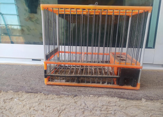 قفص طيور جميل جدا