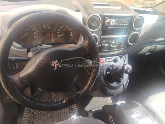 Peugeot tippe