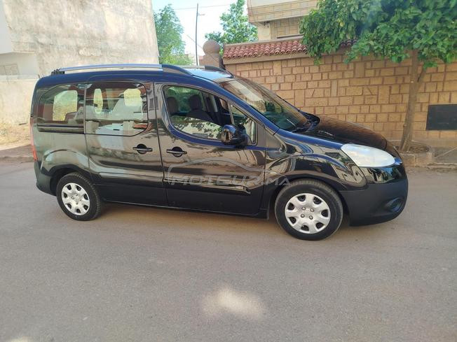 Peugeot tippe
