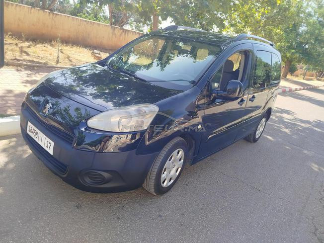 Peugeot tippe