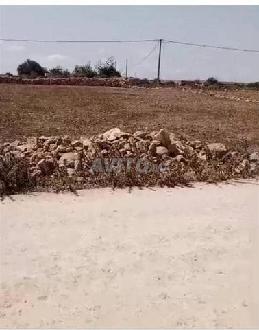 بيع أرض فلاحية بالثلاثاء ولاد حمدان 4هكتار9 خدام