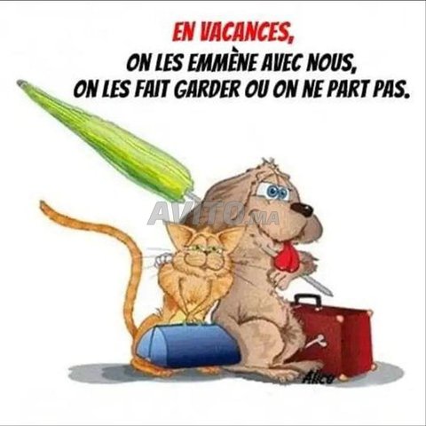 PENSION CHATS CHIENS COURTE OU LONGUE   DUREE
