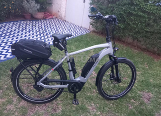 Flyer upstreet 3 7.23 HS 45 km/h