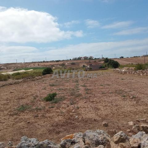  À 2 Pas de la Mer. Terrain Rare à Oualidia   