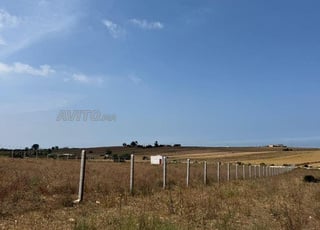 Hectare titré emplacement extraordinaire à vendre 