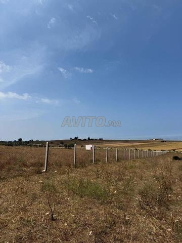Hectare titré emplacement extraordinaire à vendre 