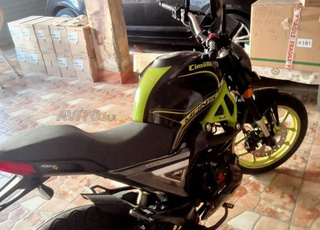 vente cimatti neuf 2mois 