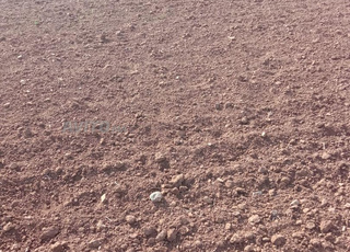 اراضي وفيرمات للبيع بمساحات مختلفة بنسليمان