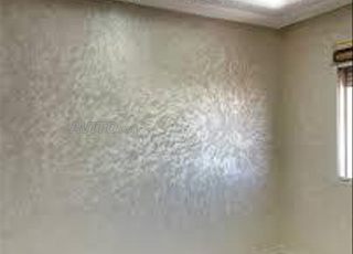 Sabbagh professionnel