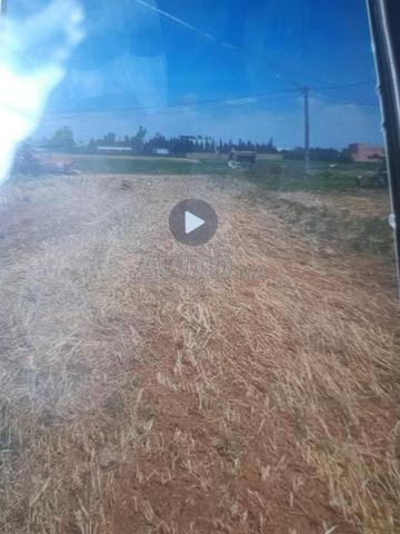 terain agricole de 1164 m très bon placée 