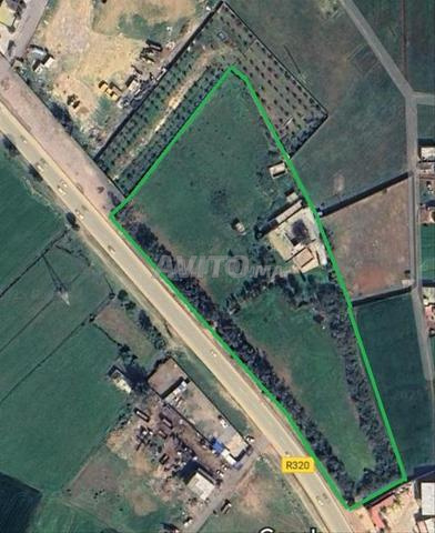 Opportunité Ferme 1,5 Hectares à El Jadida