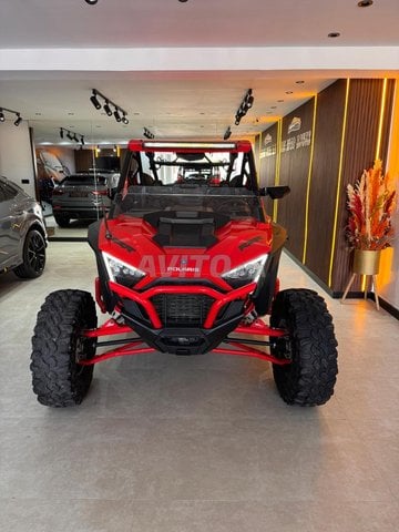 buggy polaris rzr 