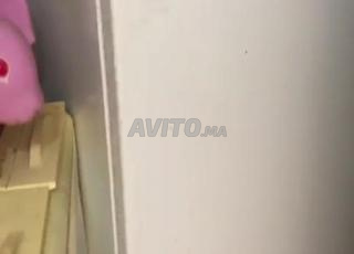 فراشالثلاجة والكونجلاتور ماكينة الصابون....