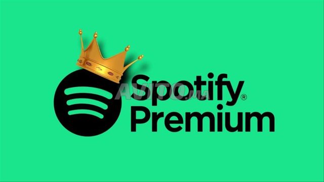 abonnement spotify premium 12 mois