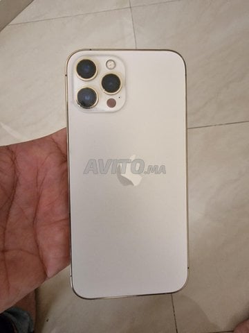 iphone 12 pro max 256 officiel 