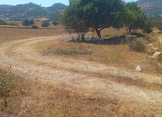 TERRAIN EN LOCATION  POUR USAGE DEPOT