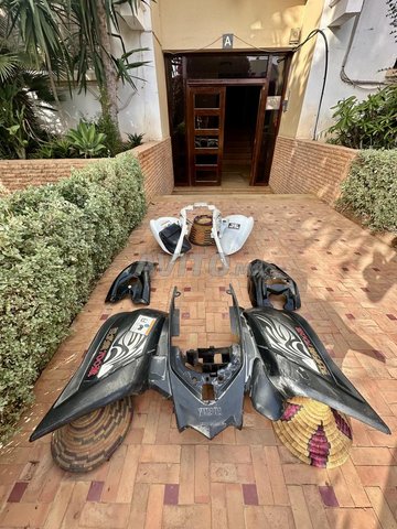 Carénage Raptor 700 SE 2010