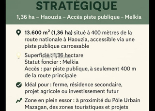 هكتار لبناء سكن 