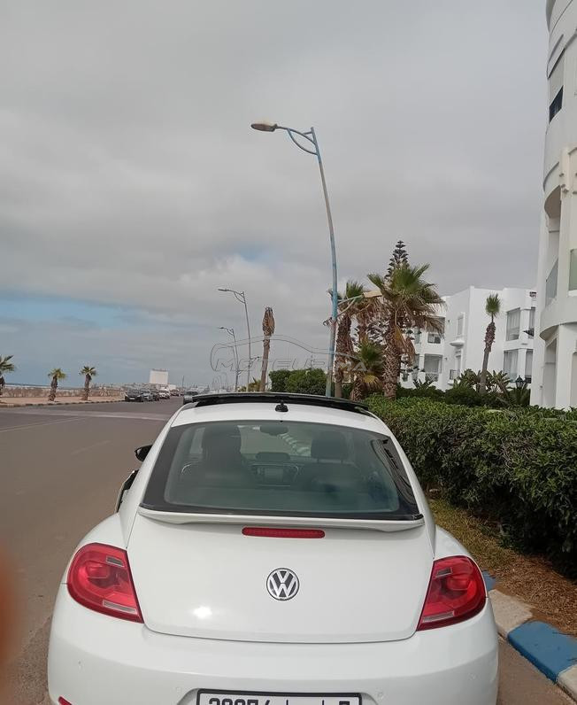 volkswagen coccinelle 