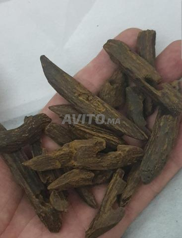 عود القماري مستورد جودة ممتازة 