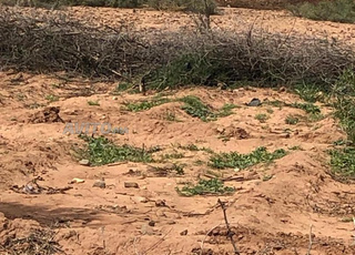 قطعة أرضية في طريق سيدي ع غياث