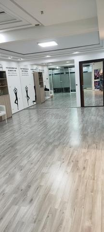 appartement plateau bureau a louer