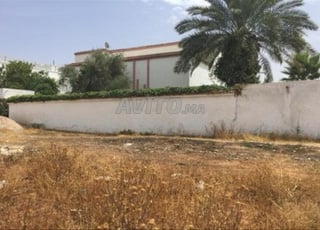 أرض فيلا للبيع في حي الحديقة