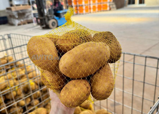 شبكة لتصدير الفواكه و الخضروات