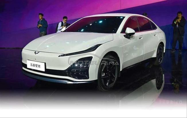 BYD Seagull Electrique Automatique 2025