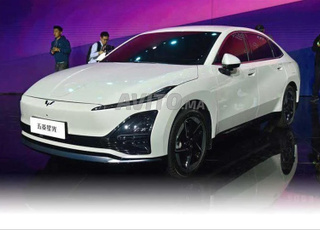 Vente des voitures électrique et hybride