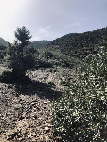 أرض مسجلة بإطلالة جبلية في تحناوت - 2
