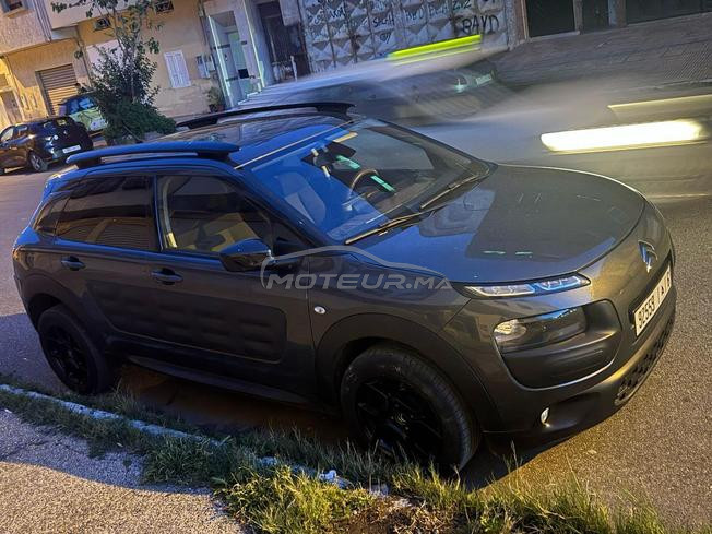 C4 cactus 