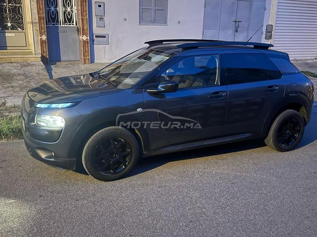 C4 cactus 